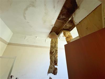 Picture 13